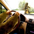 Bigfoot-Air-Freshener-I-Believe-Sticker-Decal-for-Car-RV-Trailer-Tent-Best-Gift-for-Bigfoot-Lover-0-0