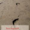 Sierra-Sasquatch-Tracking-a-Legend-0