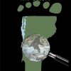Vermont-Bigfoot-Encounters-and-beyond-0