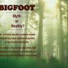 Bigfoot-Chia-Pet-0-1