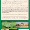 Forbidden-Bigfoot-Exposing-the-Controversial-Truth-about-Sasquatch-Stick-Signs-UFOs-Human-Origins-and-the-Strange-Phenomena-in-Our-Own-Backyards-0-0